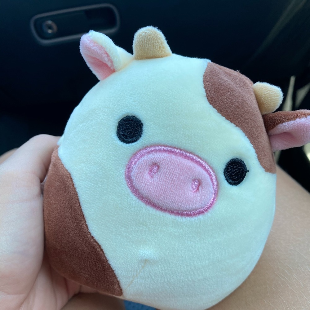 Meet your Posher, Sky